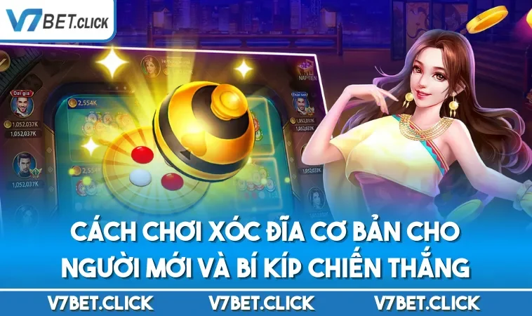 Cách Chơi Xóc Đĩa Cơ Bản Cho Người Mới Và Bí Kíp Chiến Thắng