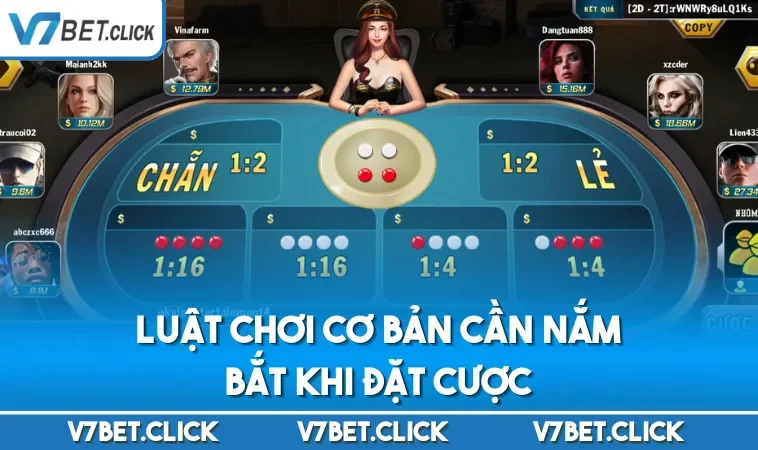 Luật chơi cơ bản cần nắm bắt khi đặt cược