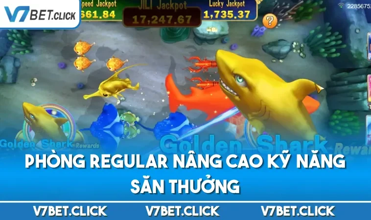 Phòng Regular nâng cao kỹ năng săn thưởng